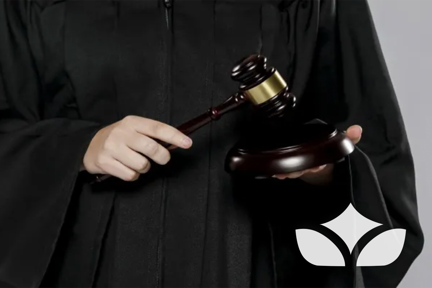 ESCASA AFECTACIÓN AL PATRIMONIO DEL AUTOR GENERA ATIPICIDAD DEL DELITO