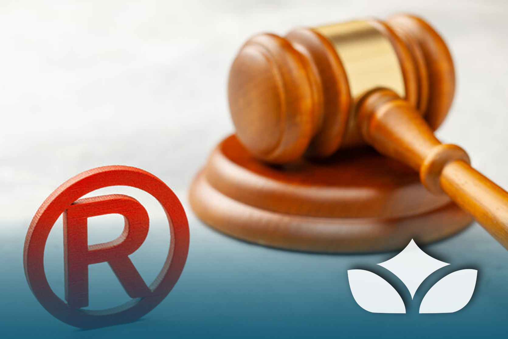 Trademark Ruling The Implications of the "Ant" Trademark Ruling