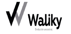 WALIKY : Brand Short Description Type Here.