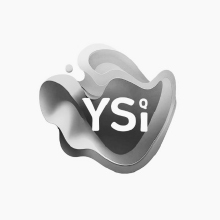 YSI : Brand Short Description Type Here.